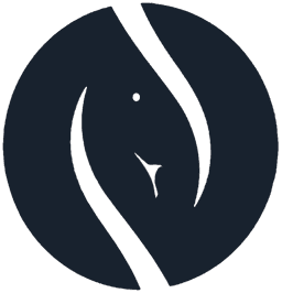 Esta es el logo de la doctora Norkys Chacon